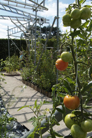 Chaumont sur Loire Voyage au bout de la tomate DSCF9386