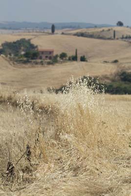 crete senesi 2