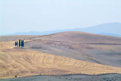 crete senesi 3