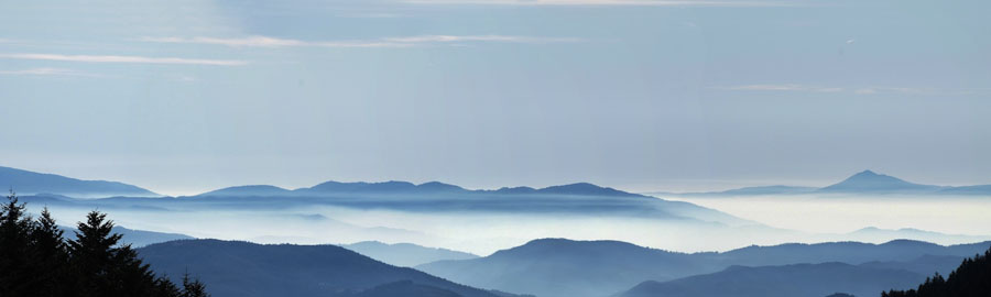 casentino Panorama 2 100x30