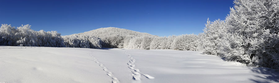 casentino Panorama 5 100x30