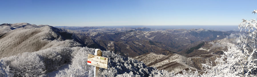 casentino Panorama 6 100x30